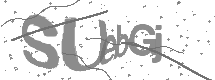 visual captcha